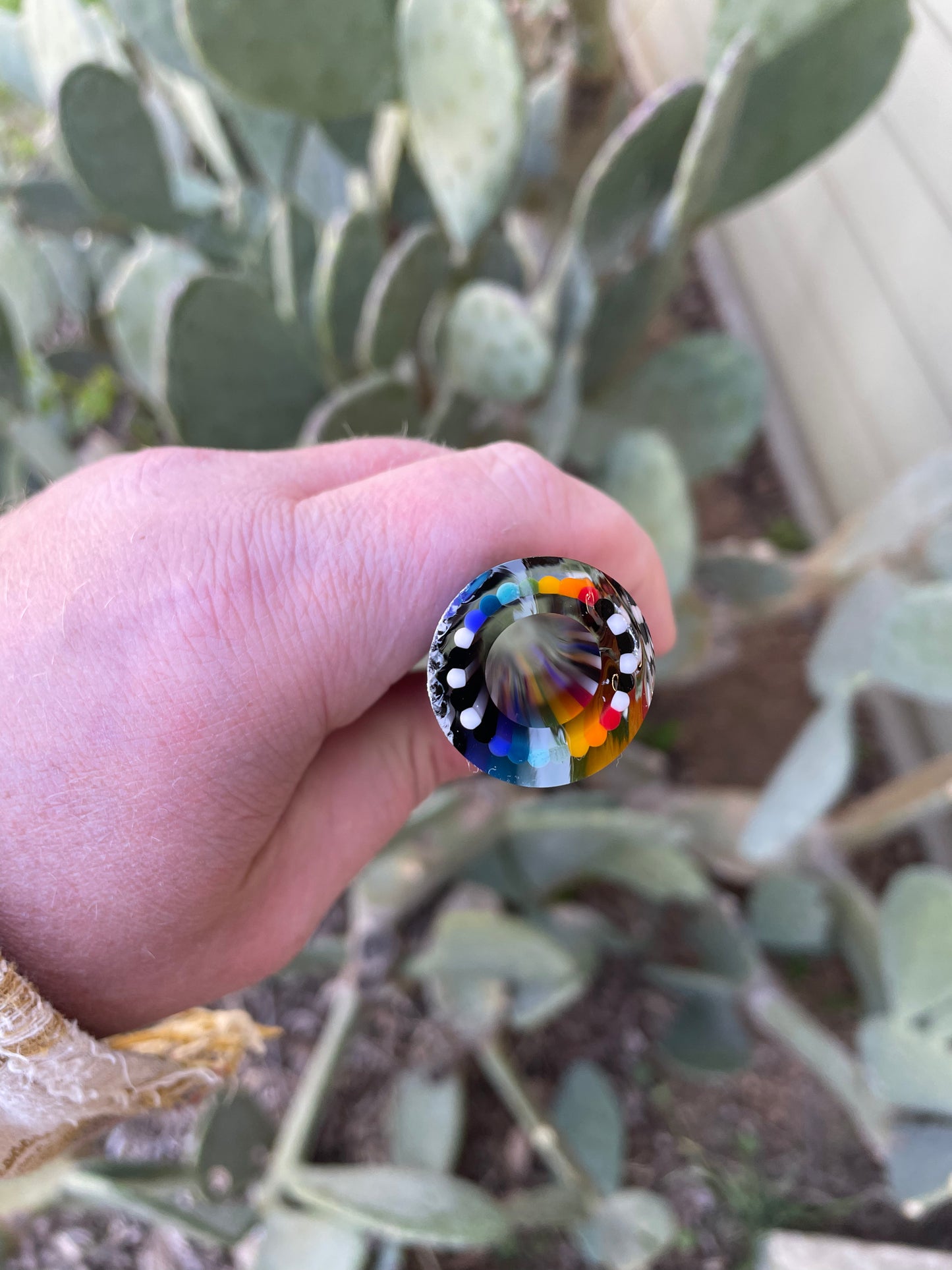 Sparkly Skunk Rainbow