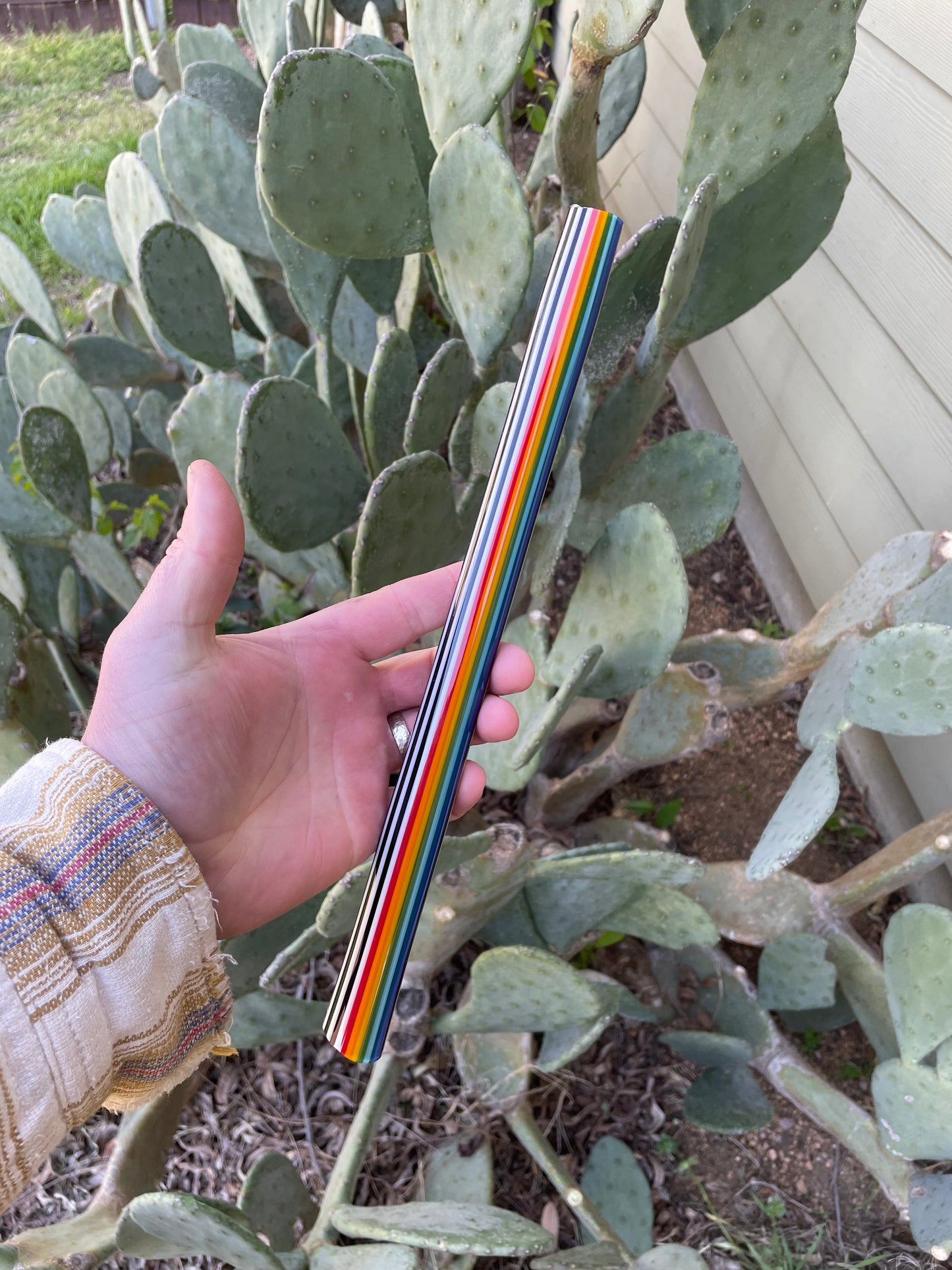 Sparkly Skunk Rainbow