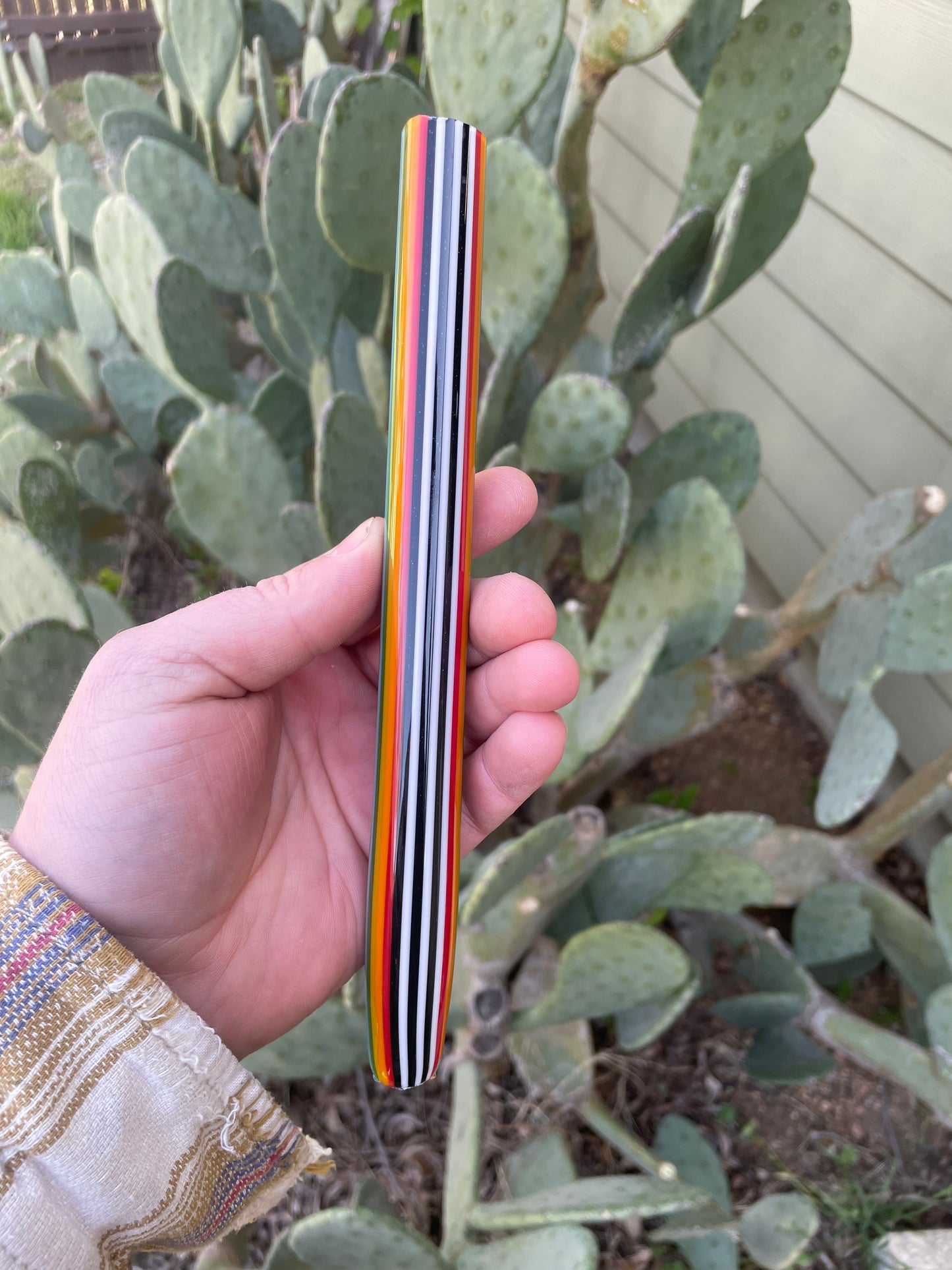 Sparkly Skunk Rainbow
