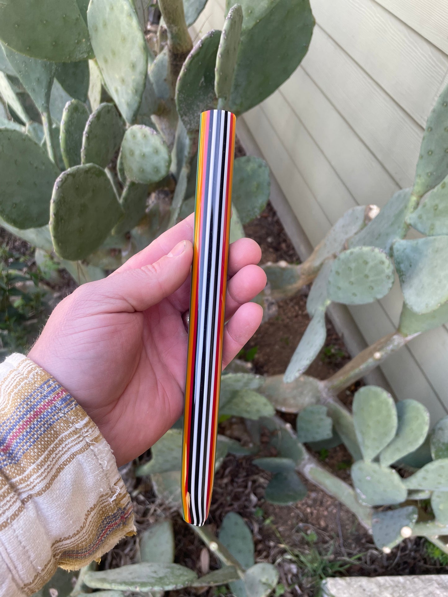 Sparkly Skunk Rainbow