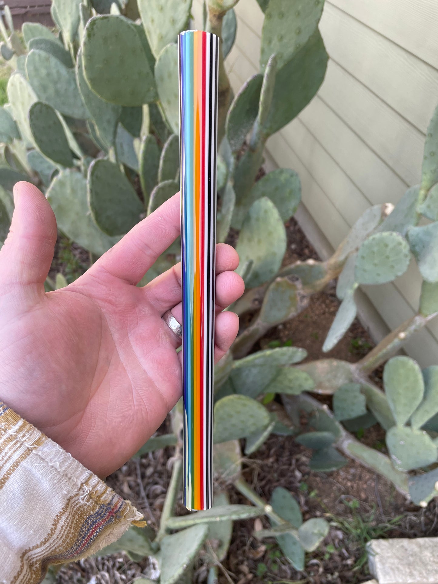 Sparkly Skunk Rainbow