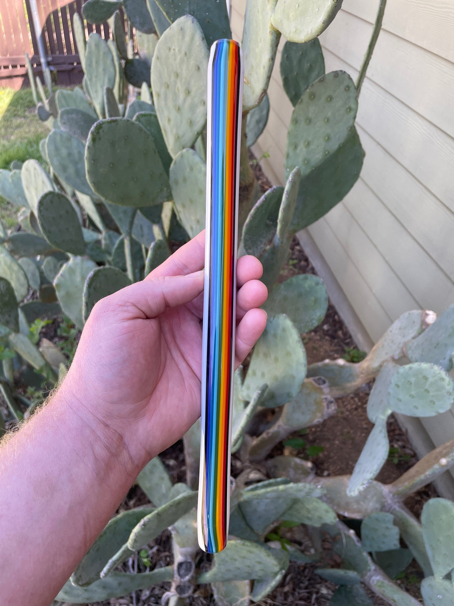 Snowy Rainbows