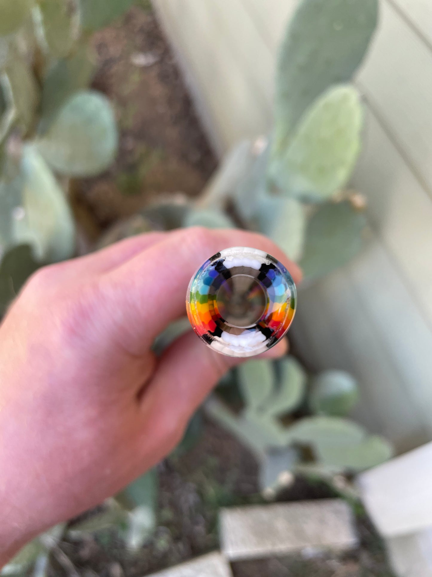 Snowy Rainbows