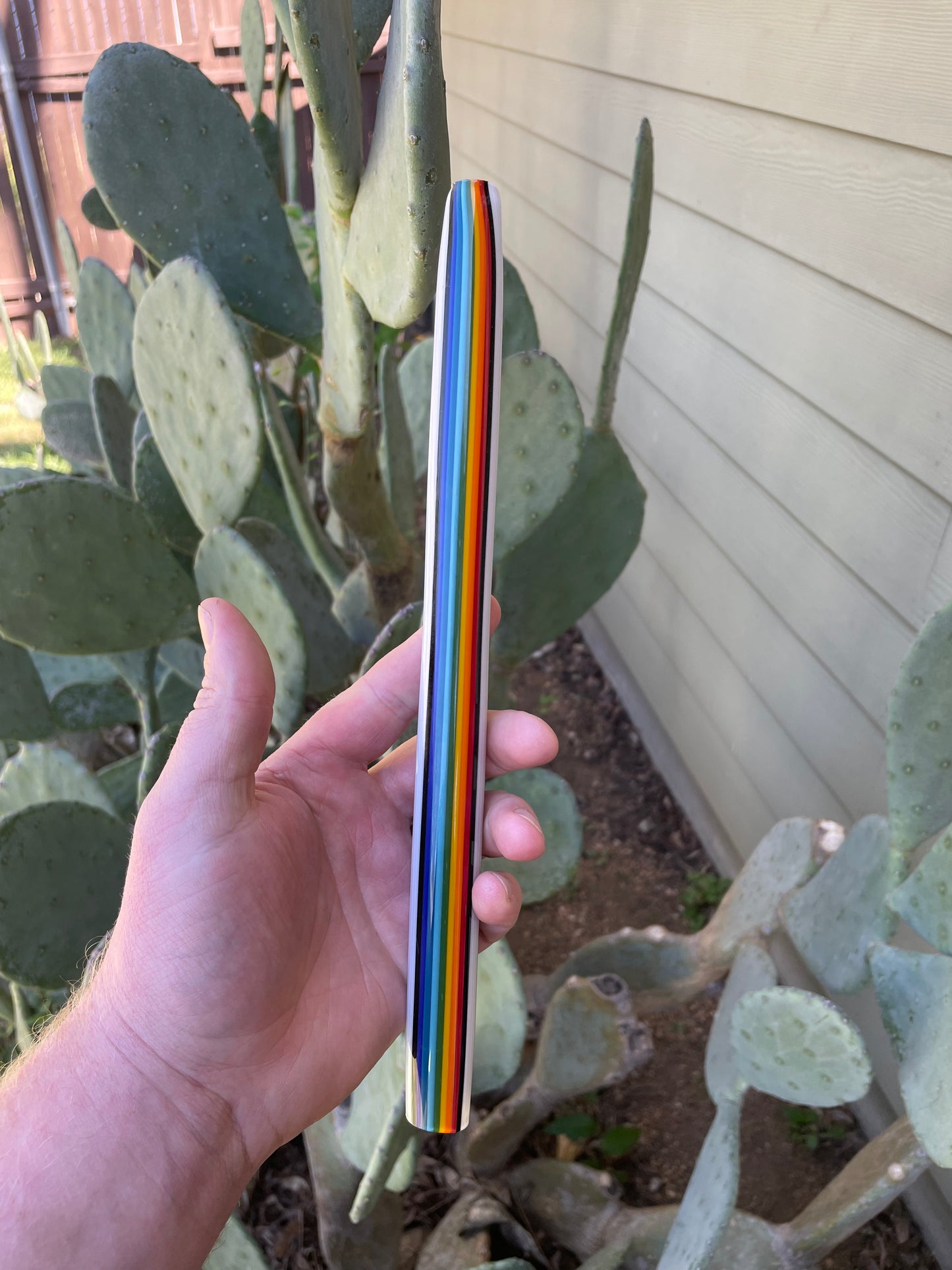 Snowy Rainbows