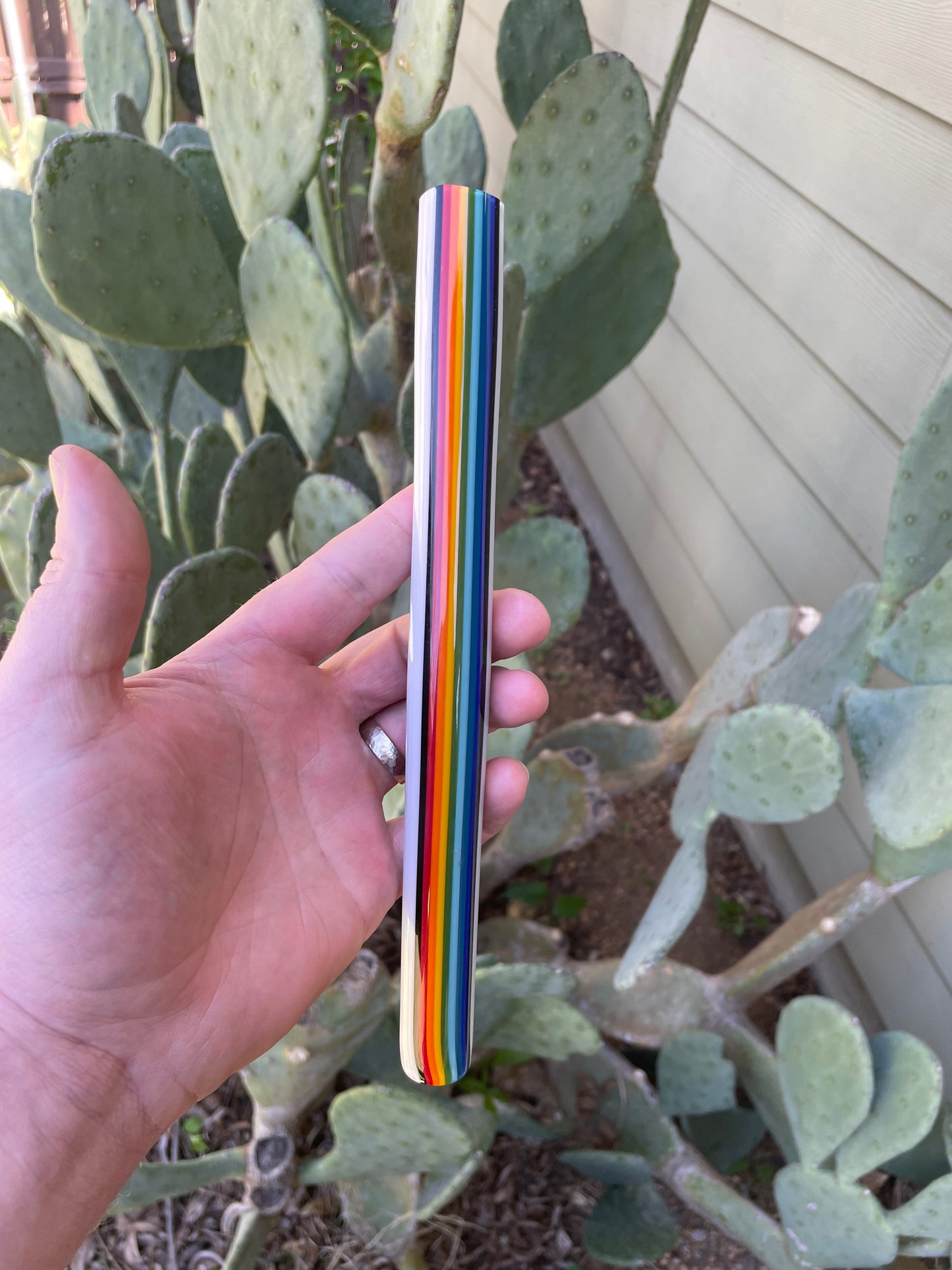 Snowy Rainbows