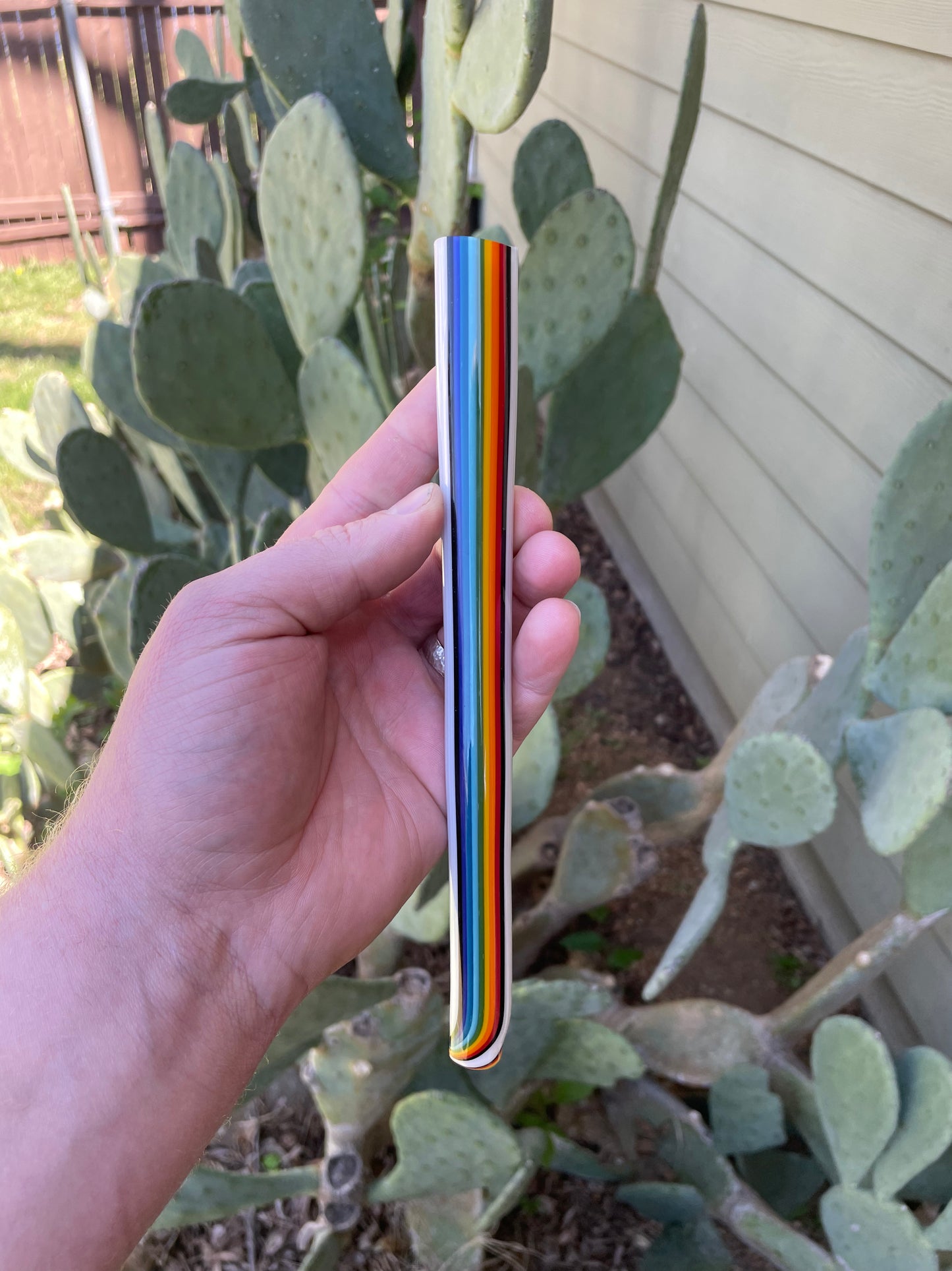 Snowy Rainbows