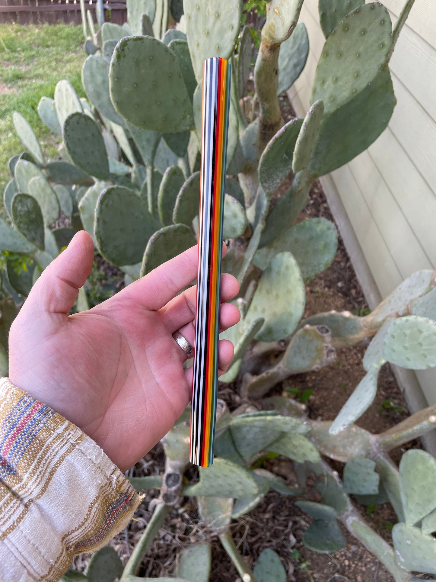 Sparkly Skunk Rainbow